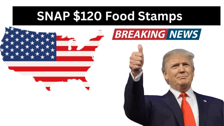 SNAP $120 Food Stamps