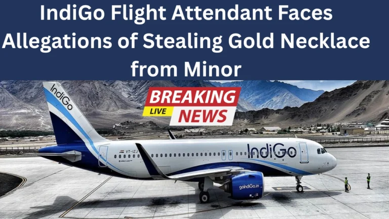 IndiGo Flight Attendant Faces Allegations of Stealing Gold Necklace from Minor